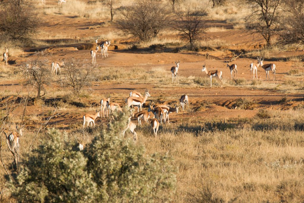 Namibie Botswana Zambia