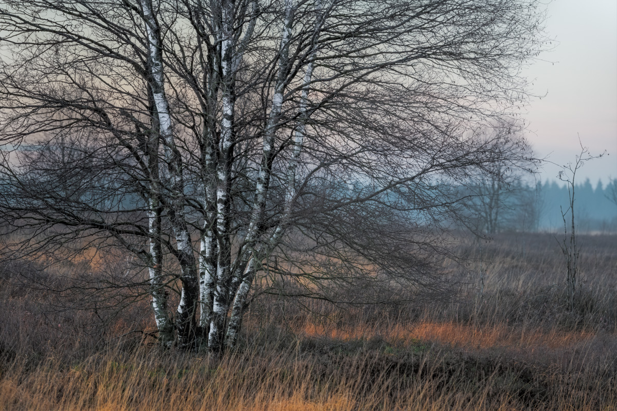 201123_6487