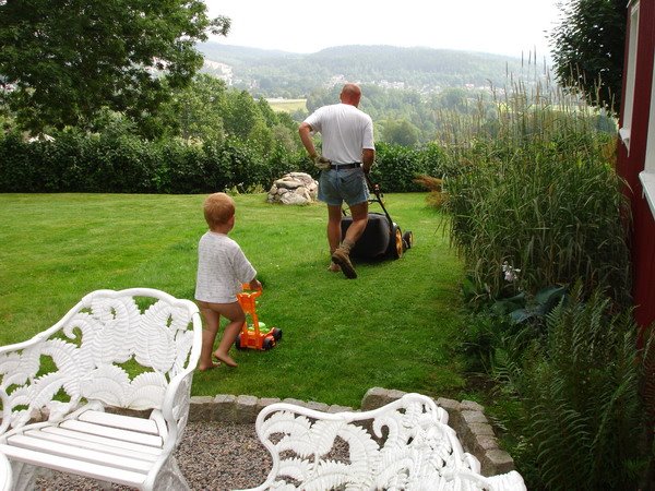 Fadern, sonen, utsikten och den gröna gräsmattan