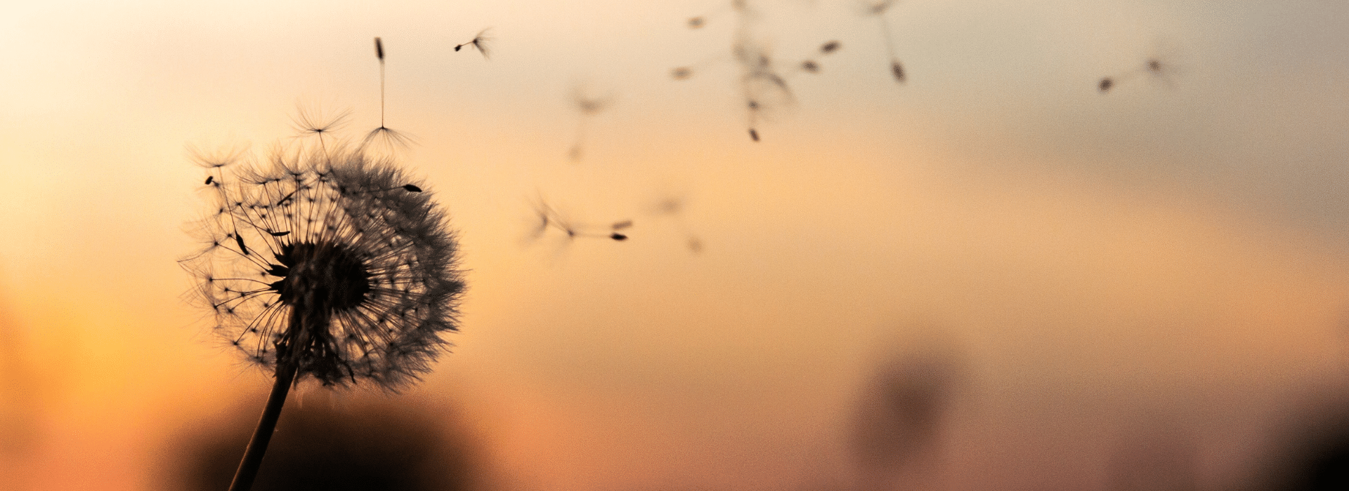 stressvolle werkomgeving