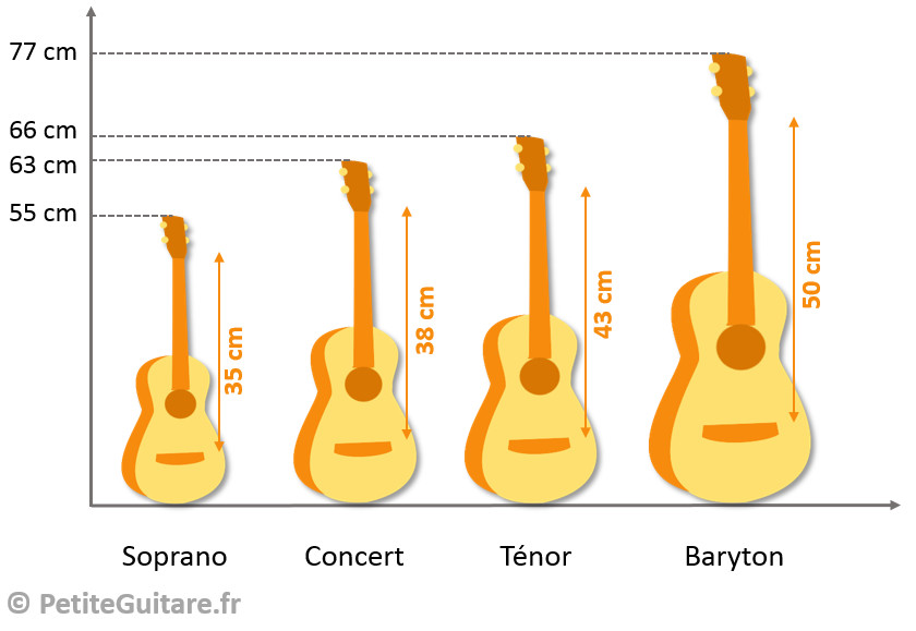 taille ukulele