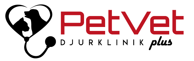 Pet Vet