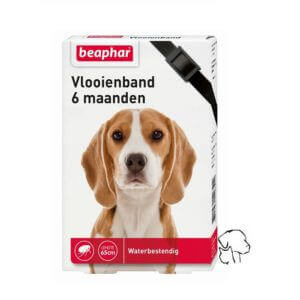 vlooienband hond