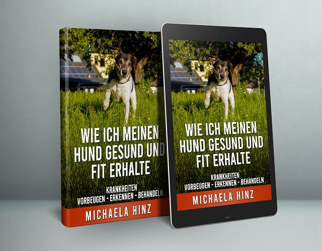 Wie ich meinen Hund gesund und fit erhalte