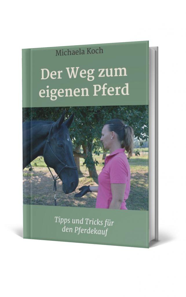 Pferdekauf Der Weg zum eigenen Pferd