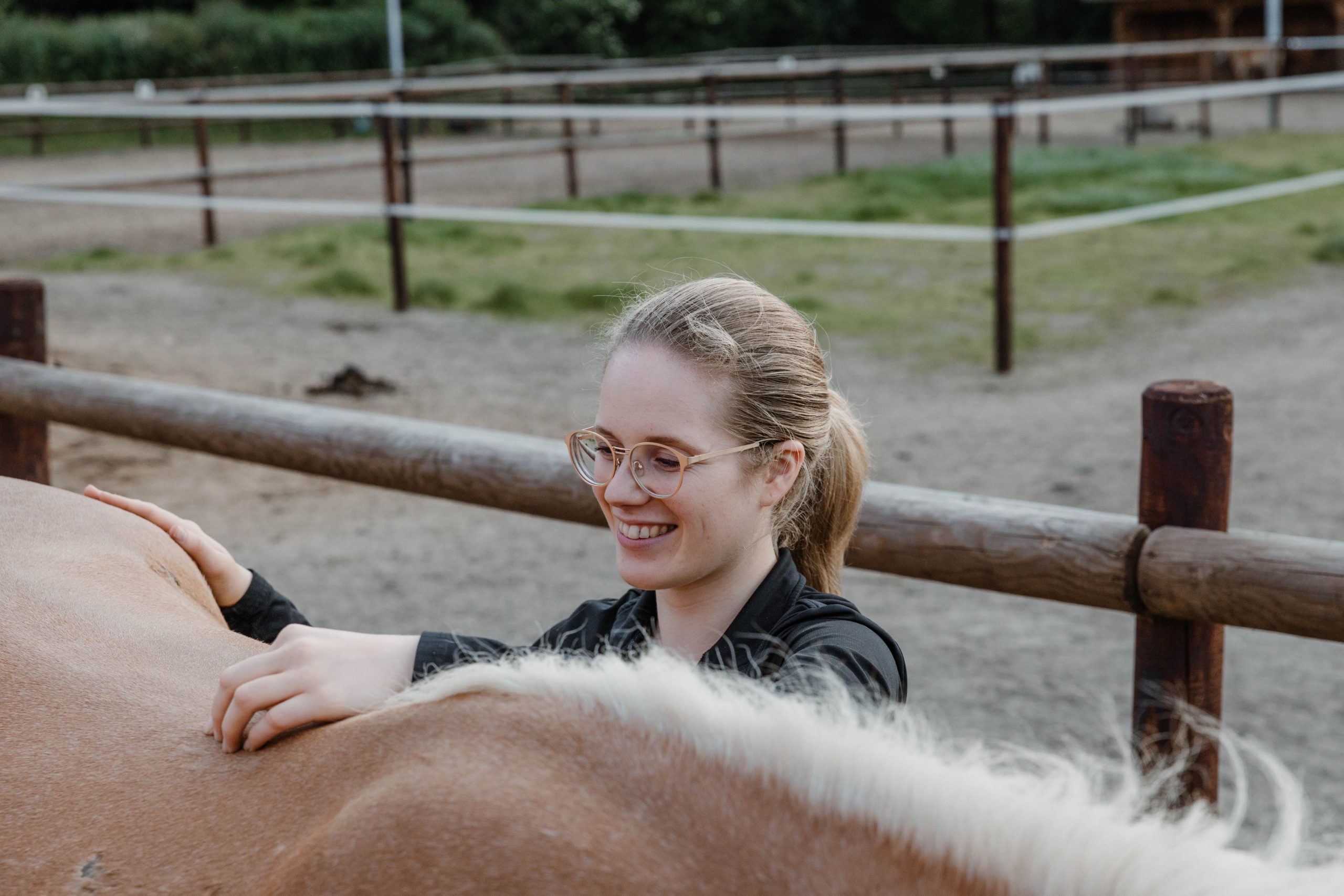 Pferdephysiotherapeutin behandelt Haflinger am Rücken 