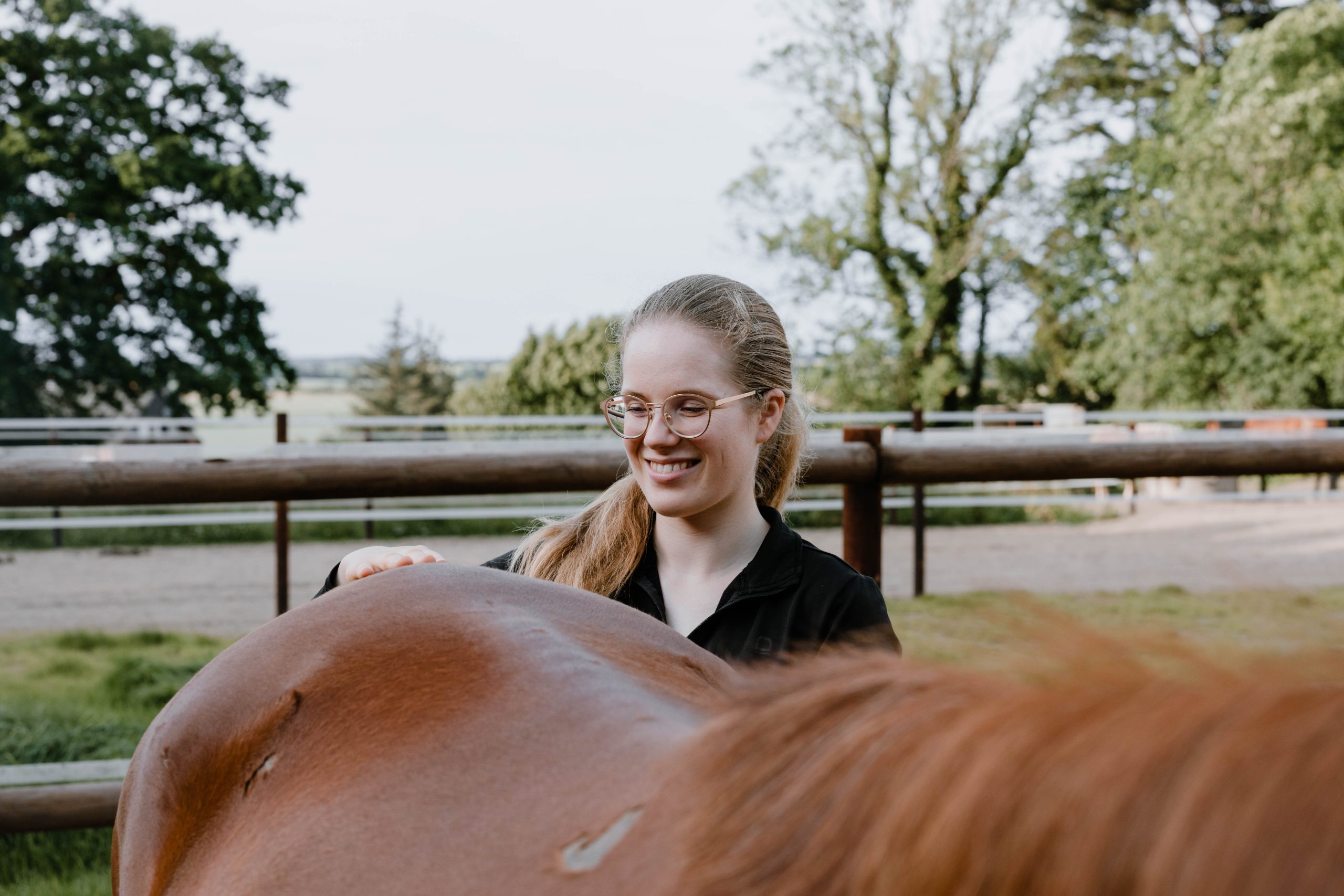 Pferdeosteopathin Sina Sievers Osteopathische Behandlung Pferd