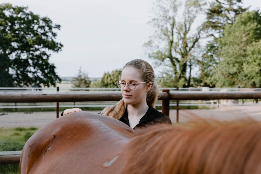 Pferdephysiotherapie und Pferdeosteopathie in Lübeck von Sina Sievers