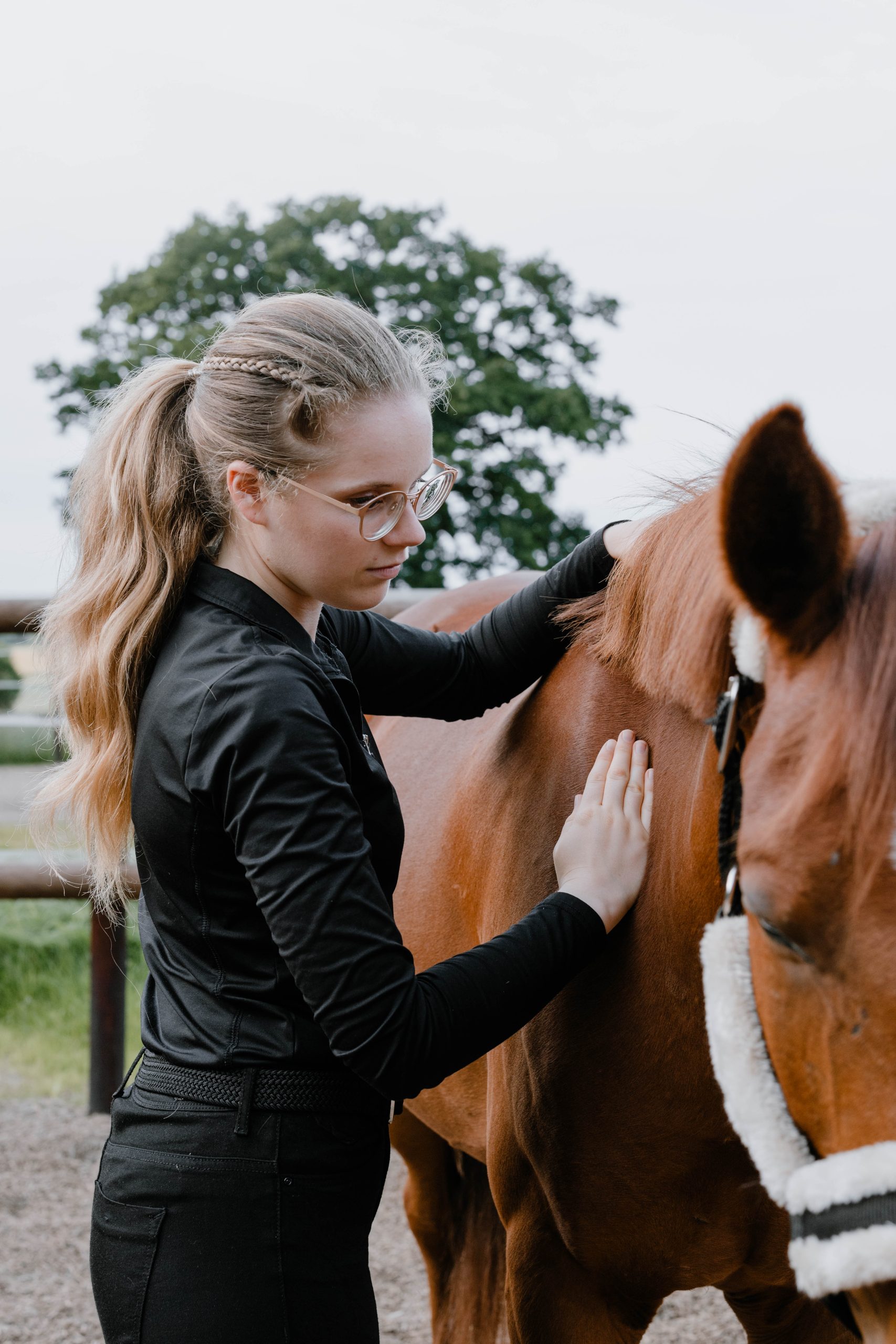 Pferdephysiotherapie am Hals