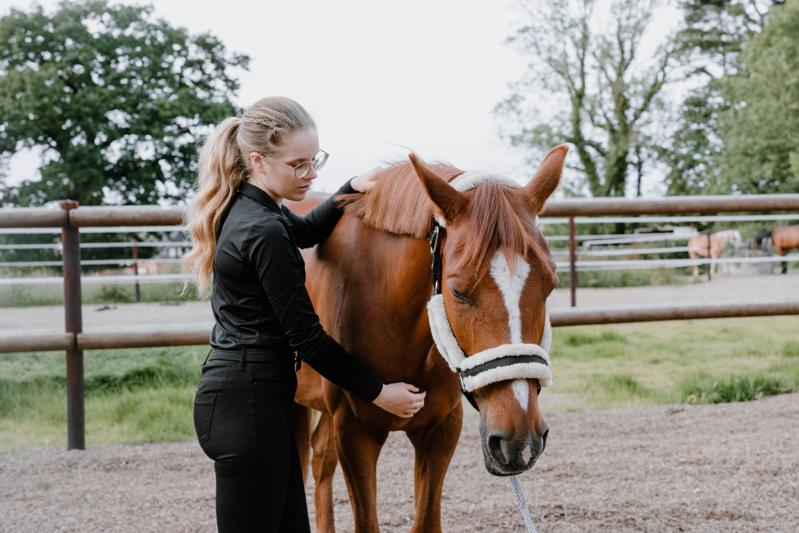 craniosacrale Pferdeosteopathie von Sina Sievers