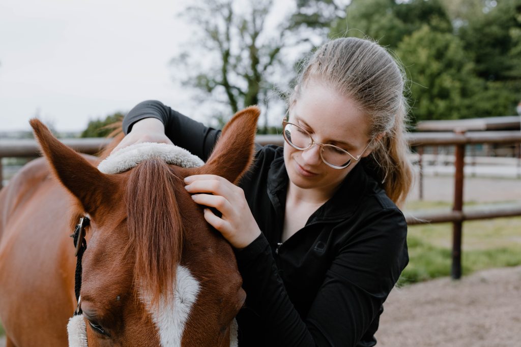 Pferdephysiotherapie und Pferdeostopathie in Lübeck