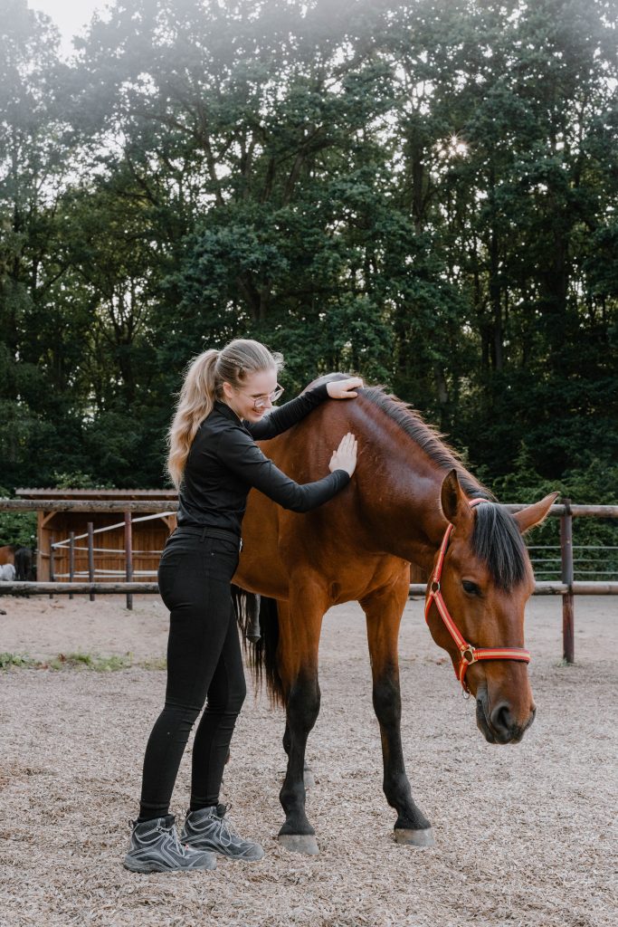 Behandlung von Physiotherapeutin für Pferde Sina Sievers
