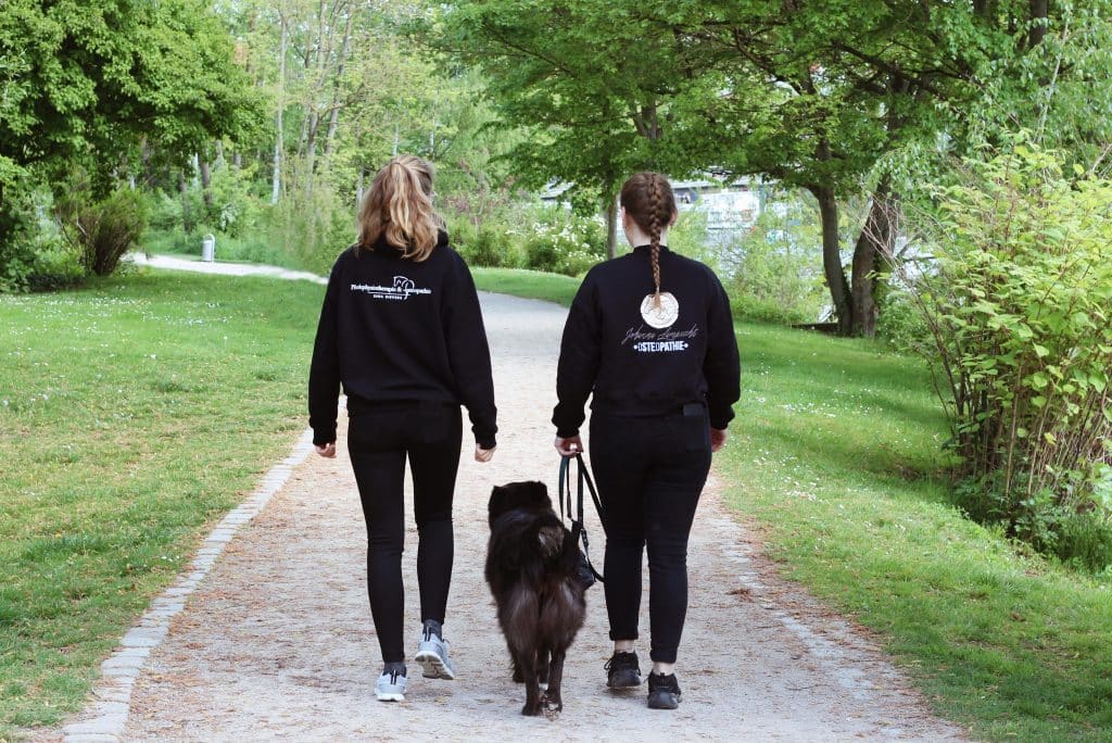 Physio Walk Hund Sina Sievers Johanna Lamprecht