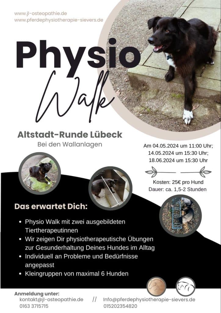 Physio Walk Hund Physiotherapie für Hunde Lübeck Innenstadt Altstadt