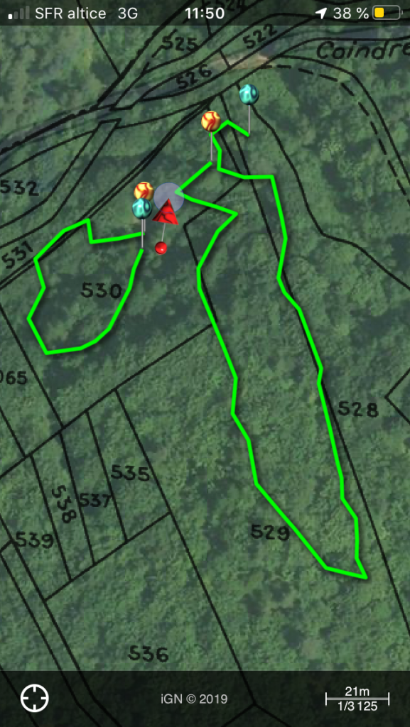 SAS P. FORESTIER - Forêt Parc Jardin Habitat - Plantation 4 ha