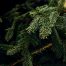 How to clean up Christmas Tree Pine Needles