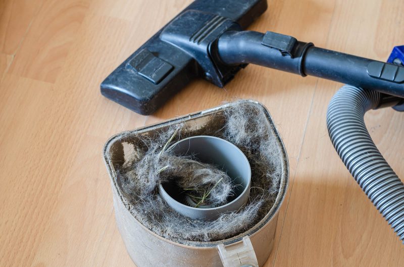 Why are Vacuum Cleaners so loud? Help & Advice Vacuum Guide Blog