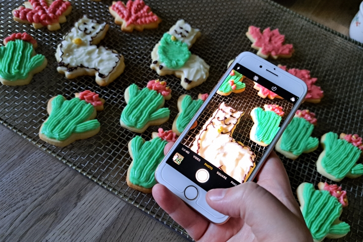 Someone using a phone and taking a picture of a llama cookie.