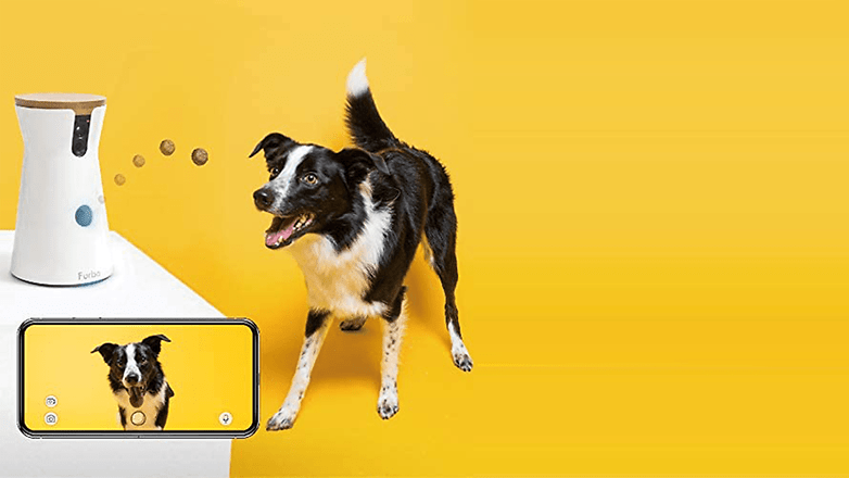 La caméra de surveillance Fubo permet de distribuer des friandises à votre chien