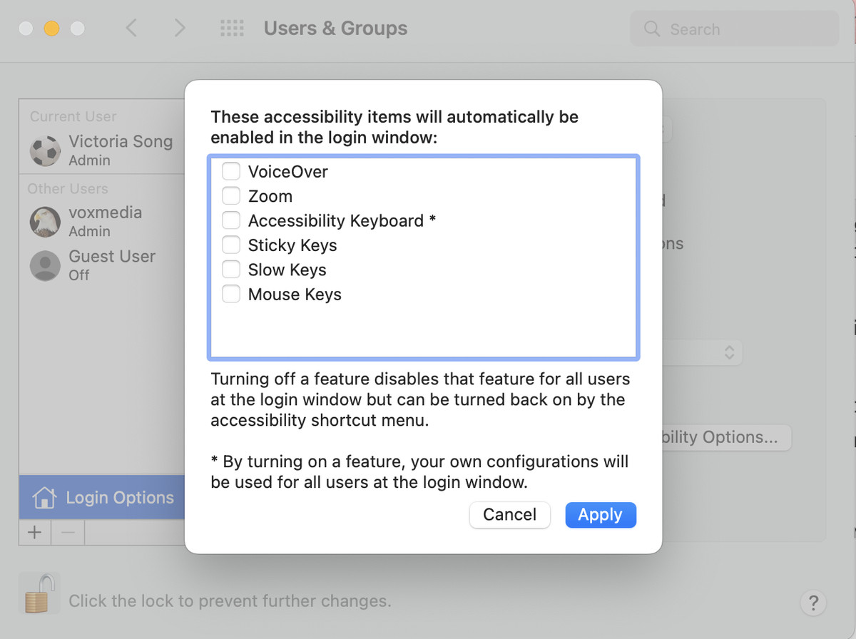Screenshot of Login Options window displaying Accessibility Options