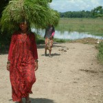 30 juli 2005 Chitwan National Park