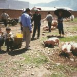 14 juli 2001 Lijiang – Xizhou