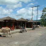 28 juli 2005 Shivpatinagar – Chitwan National Park