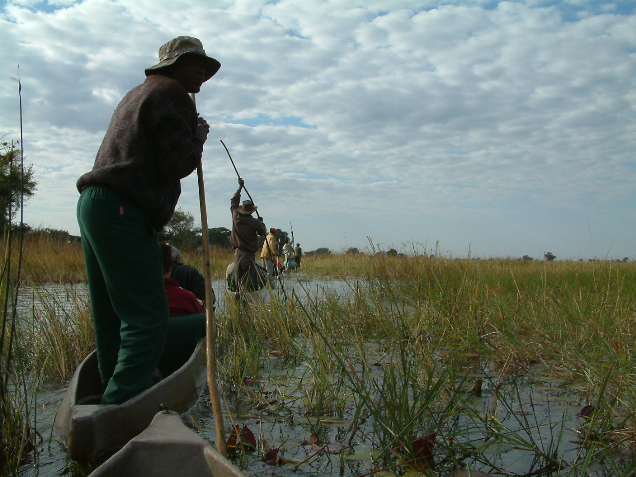 31 juli  2006 Okavango delta