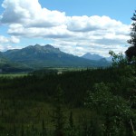 16 juli 2007 Denali NP – Fairbanks