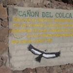 23 juli 2011 Colca Canyon – Puno (3827m)