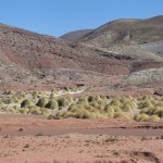 28 juli 2011 Uyuni – Potosi (4090m)