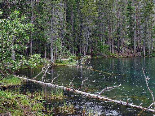 Grassi lakes