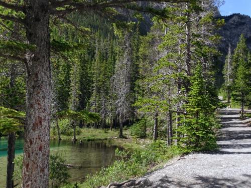 Wandeling naar Grassi lakes