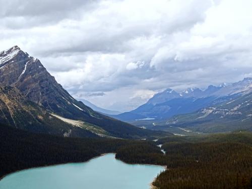 Peyto lake viewpoint 