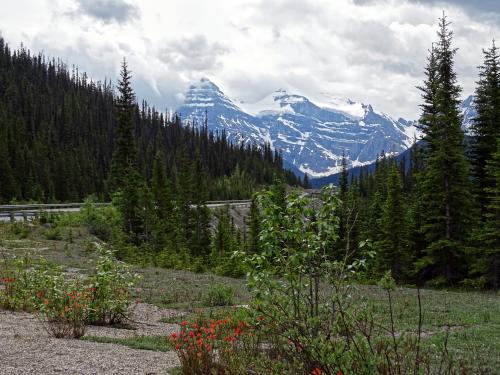 Banff NP