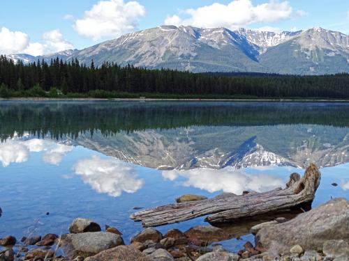 Patricia lake 