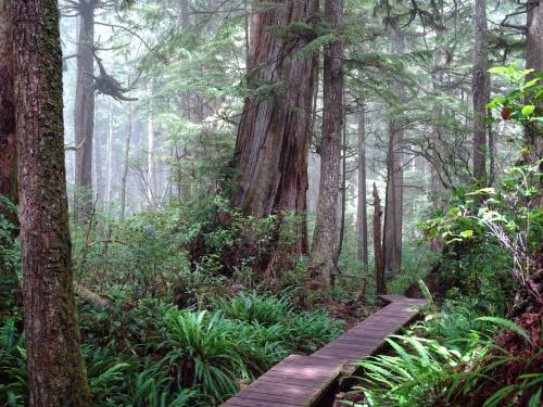 Pacific Rim National Park