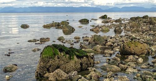 Oostkust Vancouver eiland