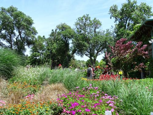 Botanische tuin 