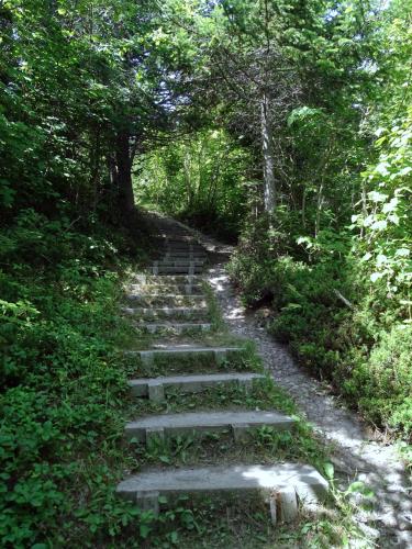 The stairs 