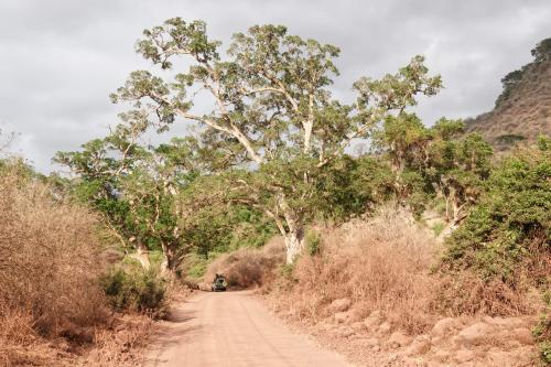 Arusha NP