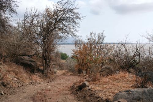 Parkweg Arusha NP