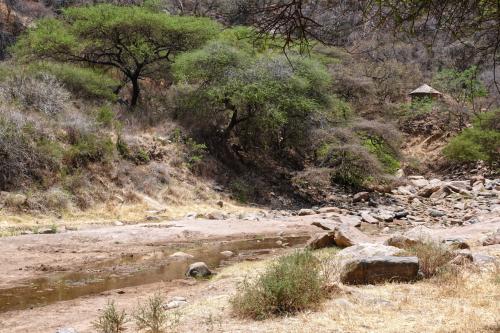 Arusha NP 