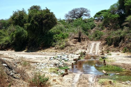 Arusha NP 