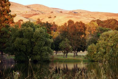 Alum Rock Park