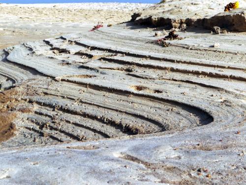 Terrasvorming aan de kust