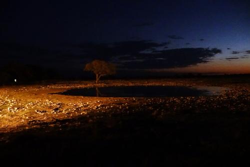 Waterhole by night 