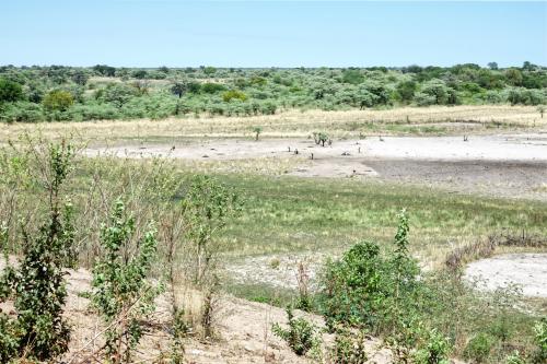 Kamp Kwando Namibie