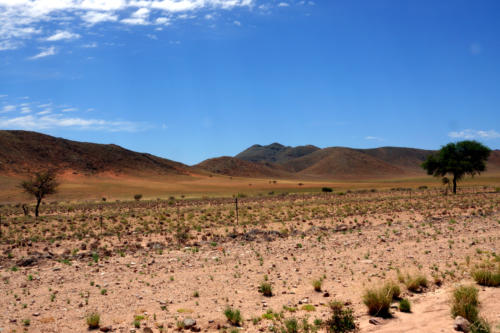 Namib Naukluft desert