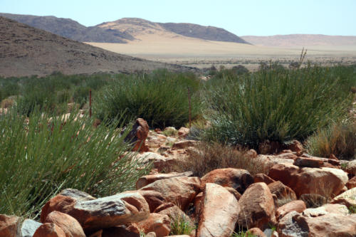 Namib Naukluft